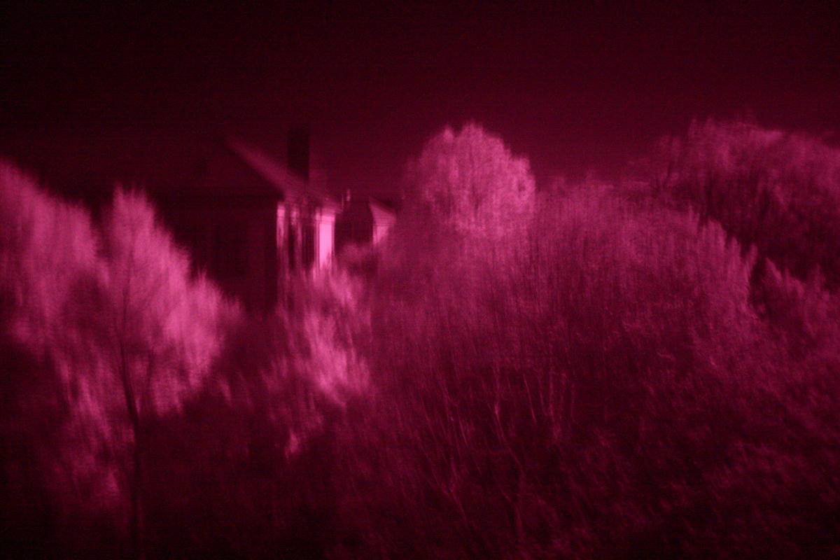 Infrared picture of tress and a house